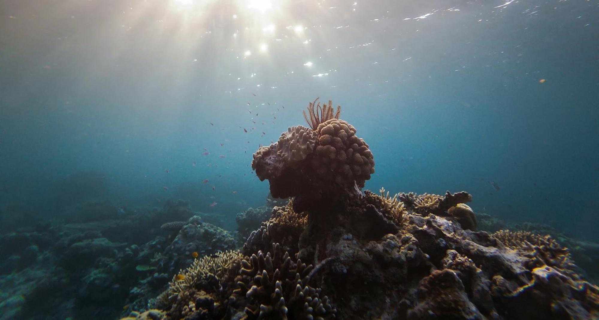 Menjaga Bay Labuan Bajo Exterior foto