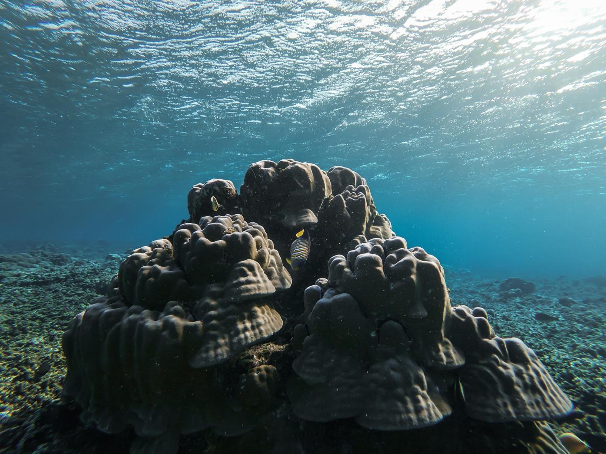 Menjaga Bay Labuan Bajo Exterior foto