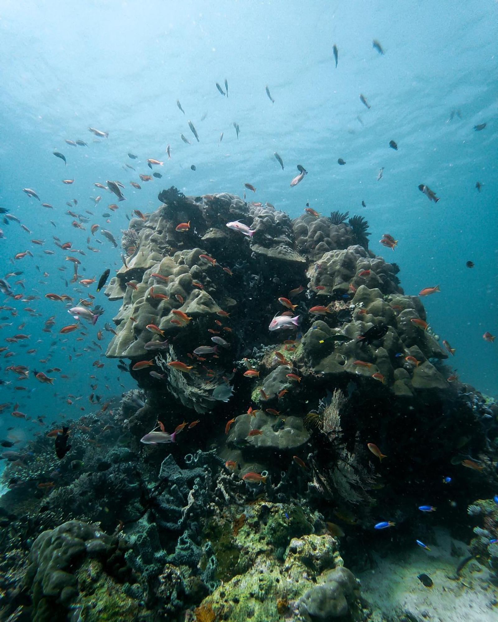 Menjaga Bay Labuan Bajo Exterior foto