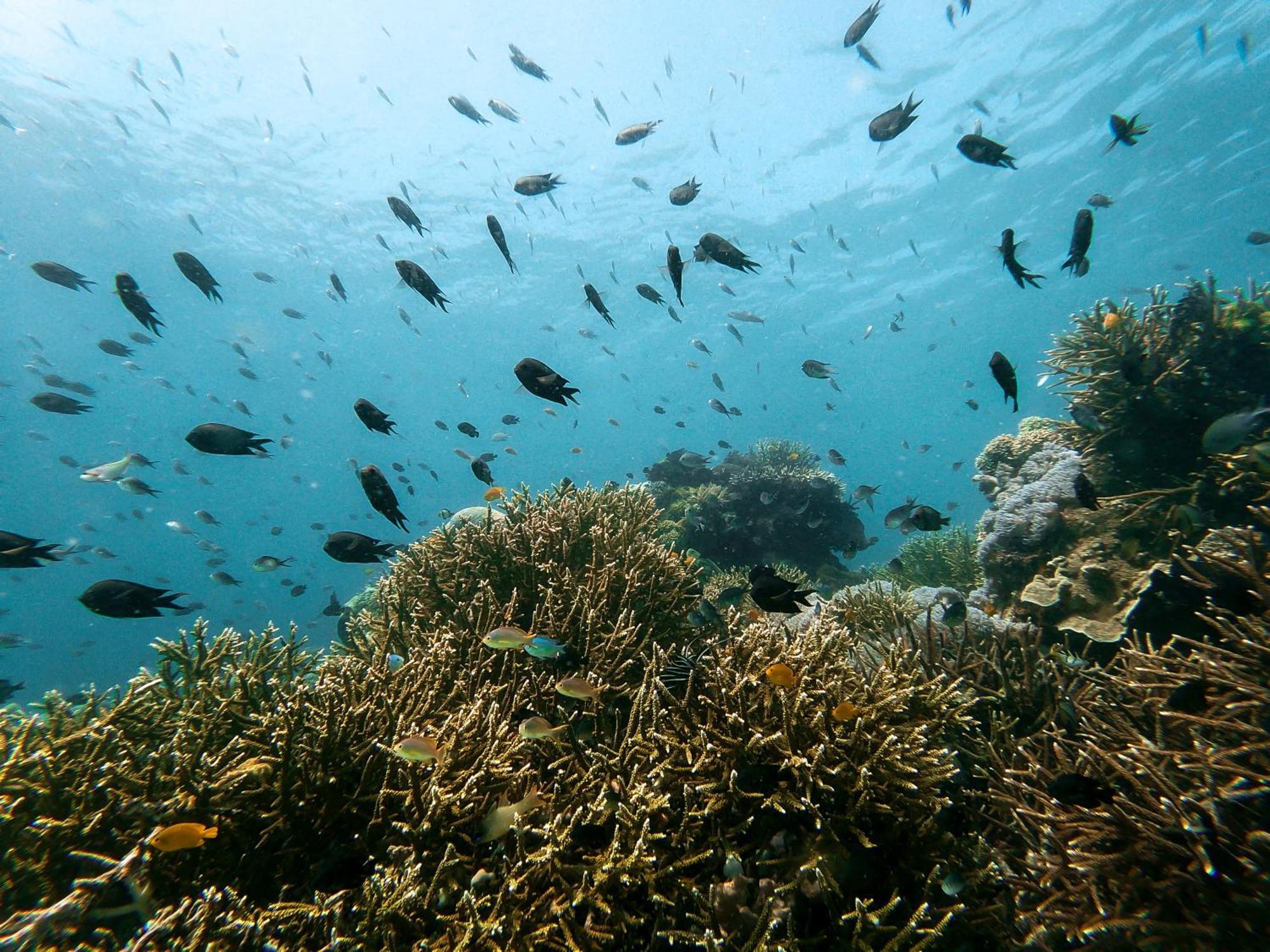 Menjaga Bay Labuan Bajo Exterior foto